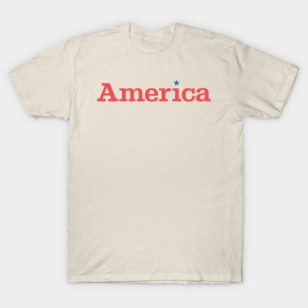 America T-Shirt by MrFranklin